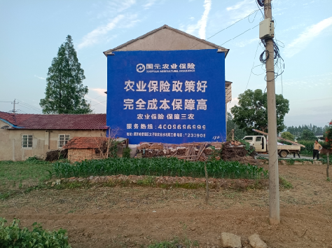 宜阳县墙体广告为何受追捧？